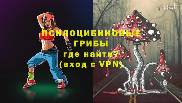 МДПВ Алзамай