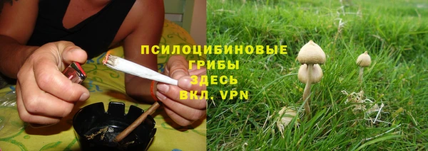 мяу мяу мука Алексин