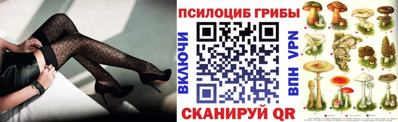 ОМГ ОМГ ссылки Мичуринск Псилоцибиновые грибы Magic Shrooms